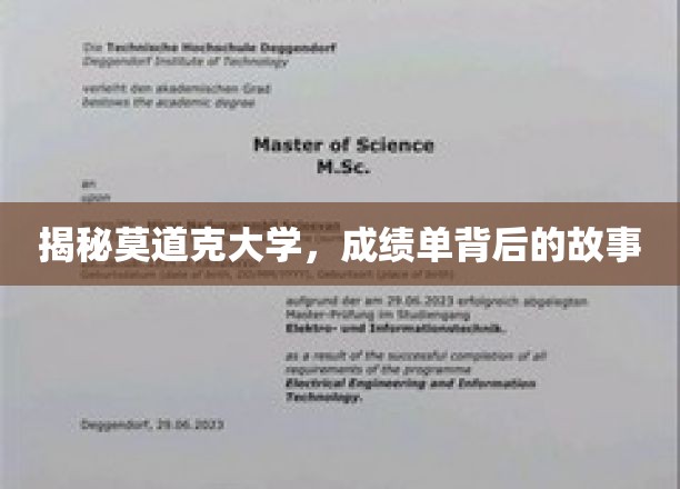 揭秘莫道克大学，成绩单背后的故事