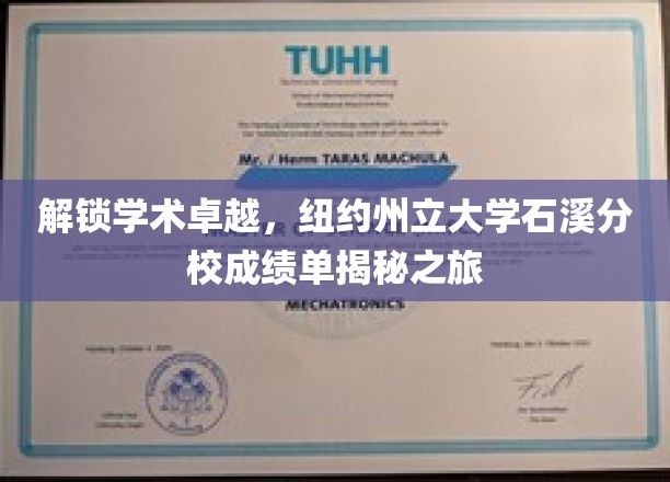 解锁学术卓越，纽约州立大学石溪分校成绩单揭秘之旅