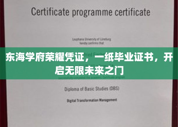 东海学府荣耀通行证，毕业证书解锁无限可能之旅
