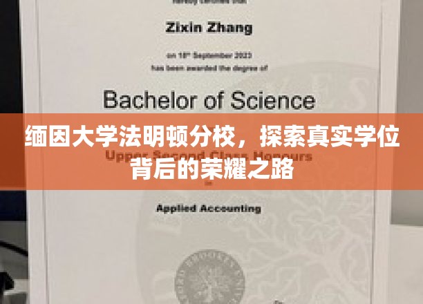 缅因大学法明顿分校，揭秘学位荣耀背后的真实征程