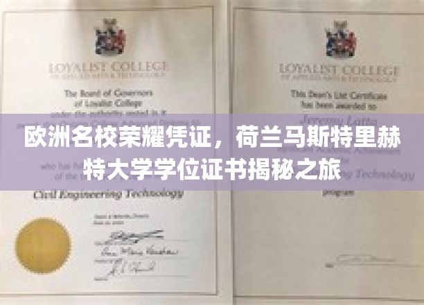 探寻荷兰马斯特里赫特大学荣耀凭证，一纸学位背后的故事之旅