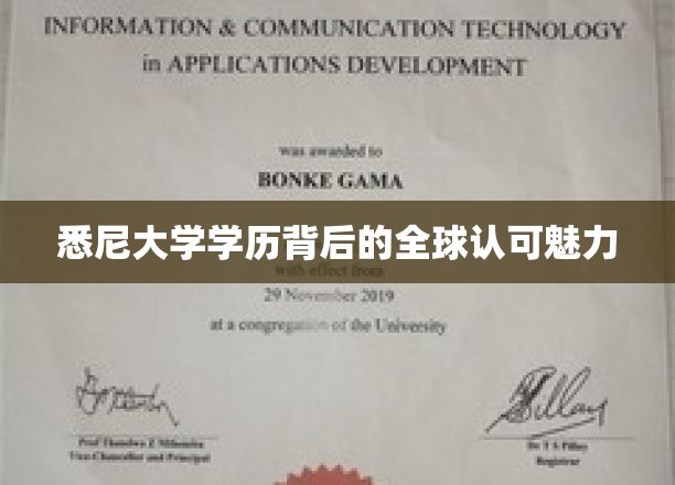 悉尼大学学位，全球认可的学术魅力之旅