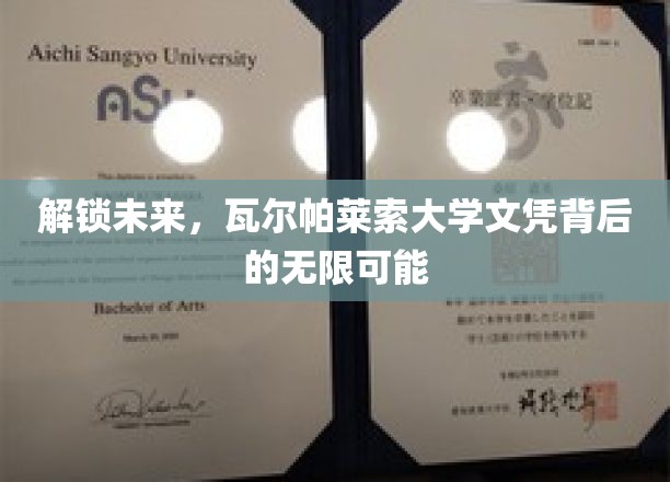 探索瓦尔帕莱索大学文凭，开启无限职业新篇章