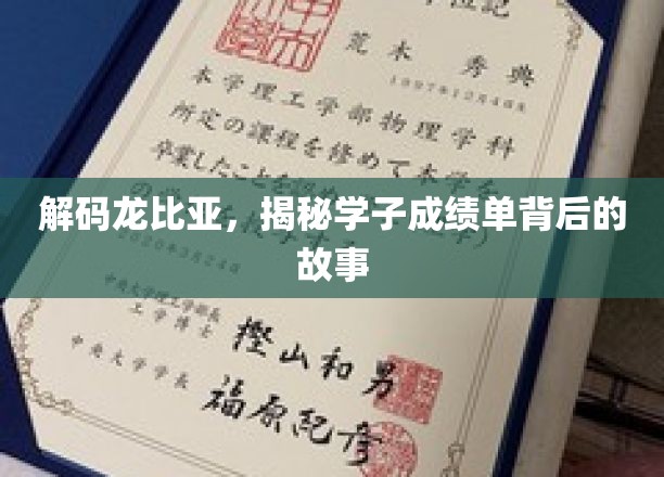 解码龙比亚，揭秘学子成绩单背后的故事