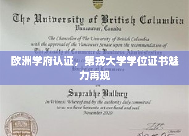 欧洲名校认可，第戎大学学位证书焕新光彩