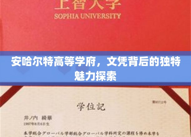 安哈尔特高等学府，文凭背后的独特魅力探索