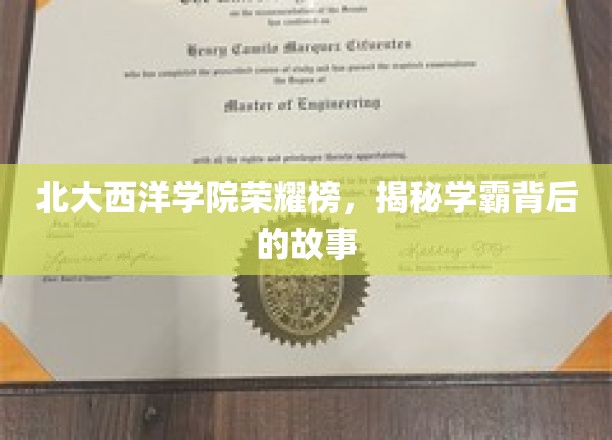 北大西洋学霸风云录，探寻学霸背后的不凡人生轨迹