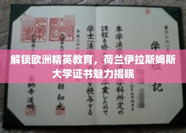 荷兰伊拉斯姆斯大学，探秘国际精英教育的独特魅力