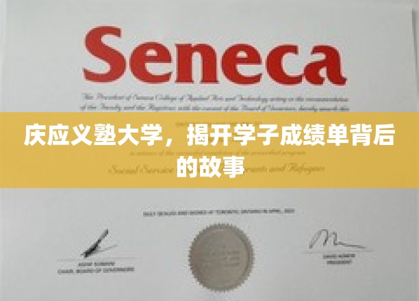 庆应义塾大学，揭示学子成绩单背后的故事