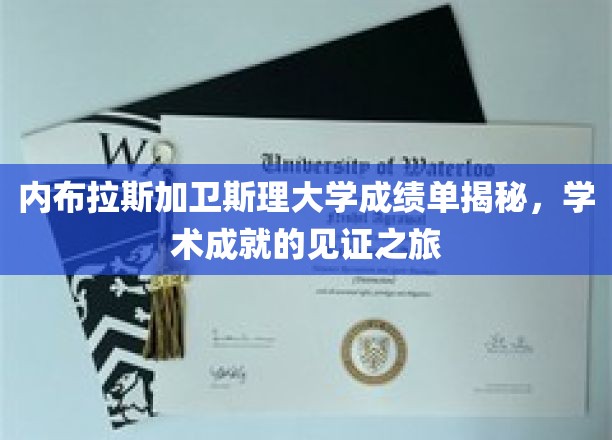 内布拉斯加卫斯理大学成绩单背后，一场探索学术辉煌的深度之旅