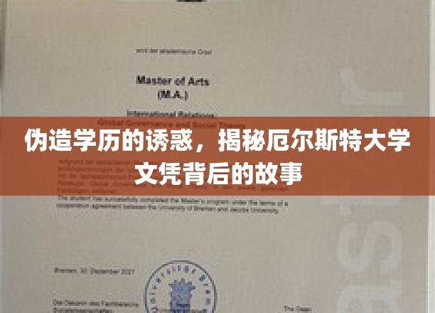 揭秘伪造学历的诱惑，厄尔斯特大学文凭背后的真实故事