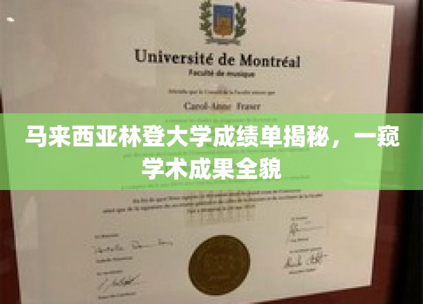 马来西亚林登大学成绩单解析，一探学术成果全貌