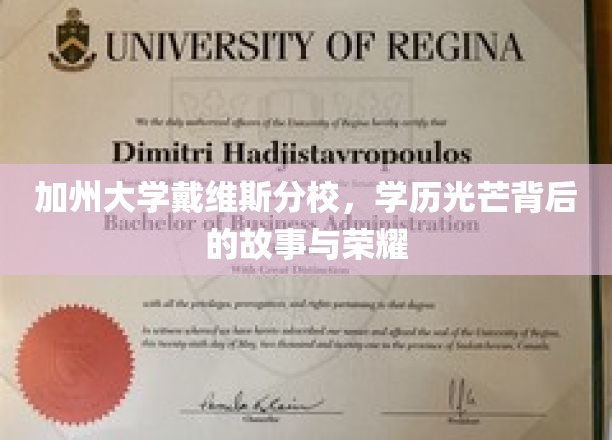 戴维斯荣耀，揭秘加州大学的不凡学历传奇