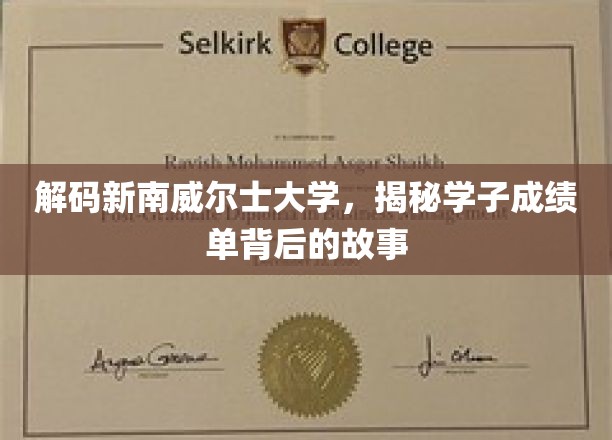 解码精英学府，新南威尔士大学学子成绩单背后的非凡历程