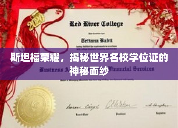 斯坦福荣耀，揭秘世界名校学位证的神秘面纱