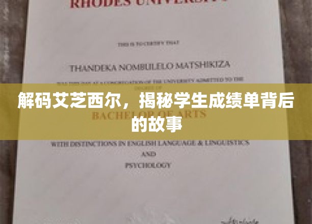 解码艾芝西尔，揭秘学生成绩单背后的故事