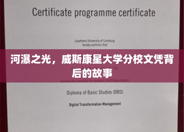 威斯康星之光，探寻分校文凭背后的不凡历程