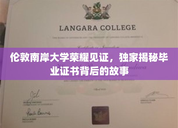 伦敦南岸荣耀时刻，一纸证书背后的不凡历程