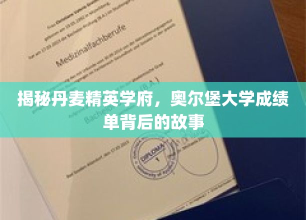 解码奥尔堡大学，精英摇篮的卓越成绩单背后传奇
