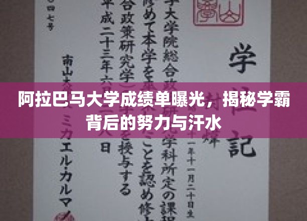 阿拉巴马大学成绩单曝光，揭秘学霸背后的努力与汗水
