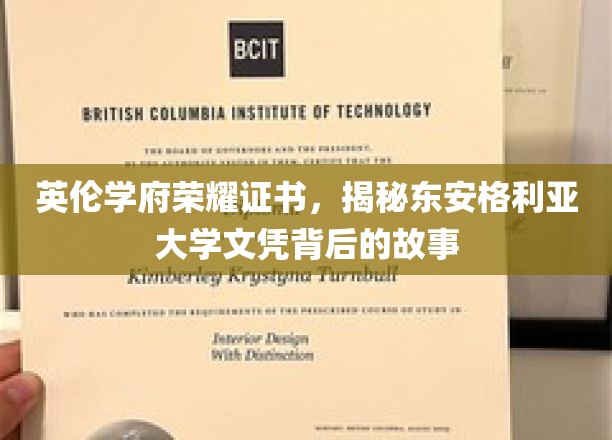 英伦学府荣耀证书，揭秘东安格利亚大学文凭背后的故事