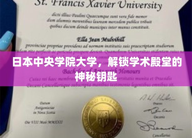 探秘日本中央学院大学，揭秘学术殿堂的璀璨之光