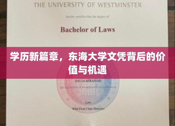 解锁未来，东海大学学历，开启职场新纪元