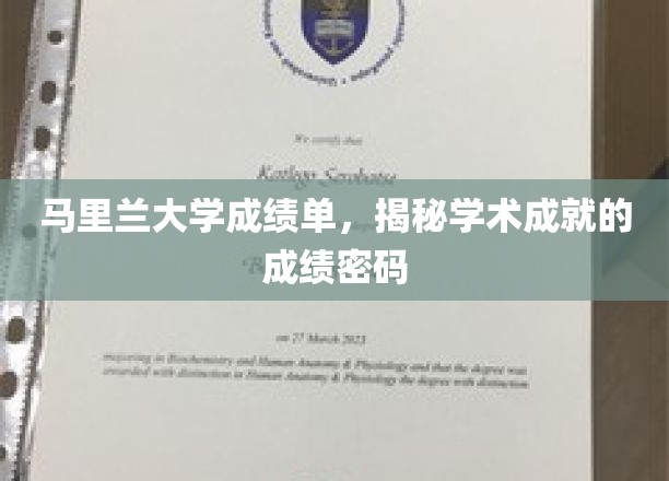解码马里兰大学成绩单，揭秘学术精英的秘密语言