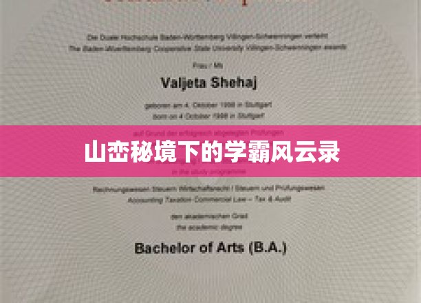 山川秘境中的学霸传奇，谁主沉浮？