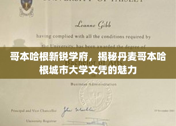 哥本哈根城市大学，探寻北欧教育明珠的学术魅力