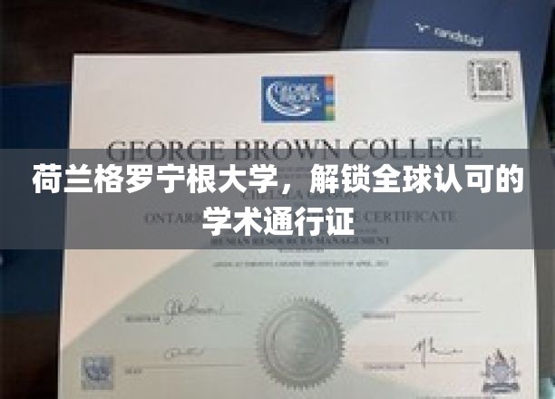 荷兰格罗宁根大学，打造国际学术舞台的通行证钥匙