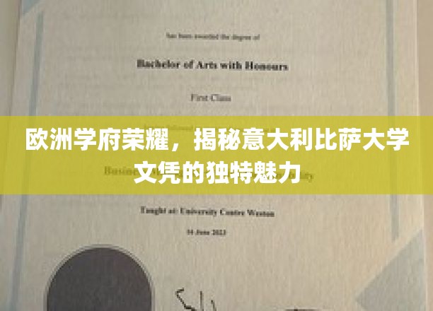 欧洲教育瑰宝，探寻比萨大学文凭的非凡吸引力