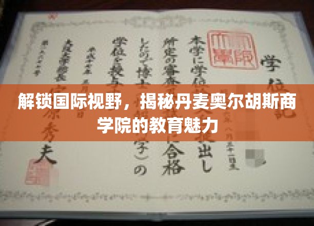跨国教育探秘，揭秘丹麦奥尔胡斯商学院的独特魅力