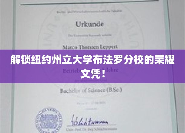 解锁纽约州立大学布法罗分校的荣耀文凭！