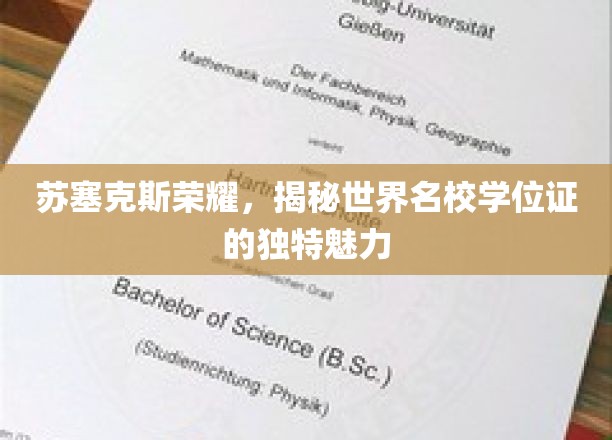 苏塞克斯荣耀，一睹世界名校学位证的独特魅力