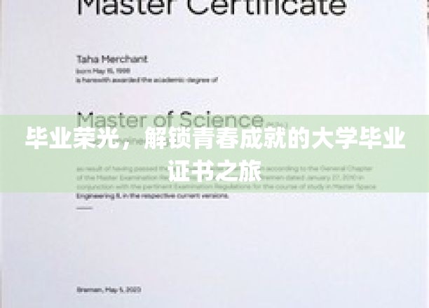 青春印记，毕业证书背后的荣耀征途