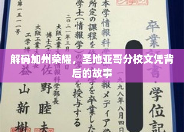 解码加州荣耀，圣地亚哥分校文凭背后的故事