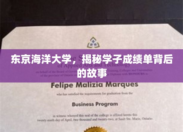 解码东京海洋大学学子成绩单背后的成长轨迹