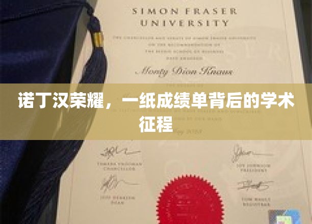 诺丁汉荣耀之路，揭秘学术之旅的辉煌足迹