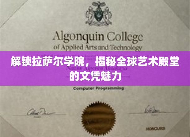 艺术殿堂的钥匙，拉萨尔学院的文凭魅力大揭秘
