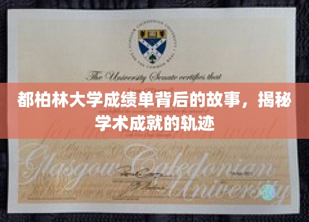 解码都柏林大学成绩单，探寻学术成长的秘密轨迹