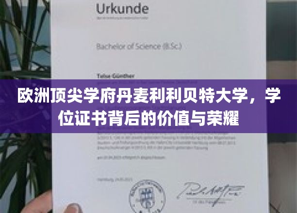 丹麦利利贝特大学学位，探寻荣耀背后的价值密码