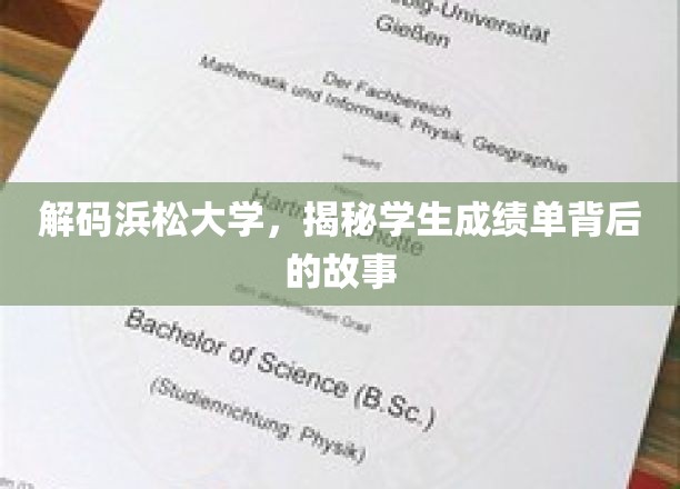 揭开浜松大学成绩单的神秘面纱
