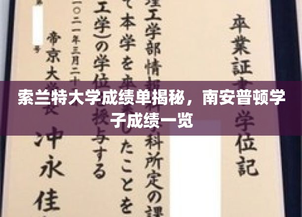 索兰特大学成绩单揭秘，南安普顿学子成绩一览
