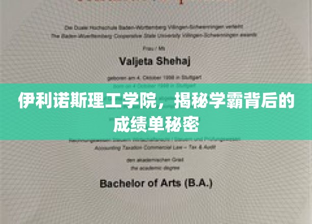伊利诺斯理工学霸养成记，揭秘他们成绩单背后的不为人知真相