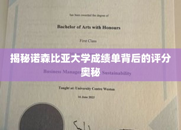 揭秘诺森比亚大学成绩单背后的评分奥秘