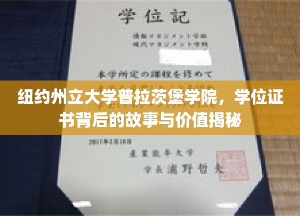 纽约州立大学普拉茨堡学院，学位证书背后的故事与价值揭秘