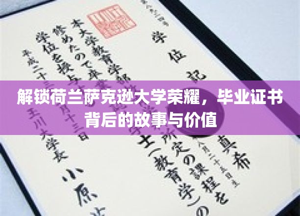 揭秘荷兰萨克逊大学证书魅力，背后的传奇与宝贵价值