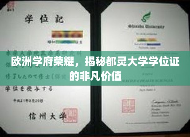 都灵大学学位证，探寻欧洲教育殿堂的荣耀凭证