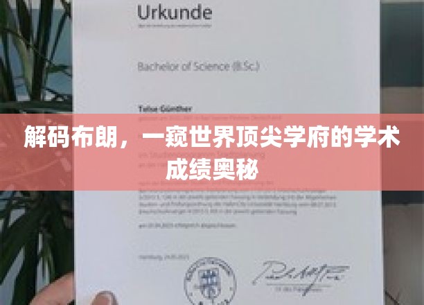 揭秘布朗辉煌，顶尖学府的学术秘籍大公开